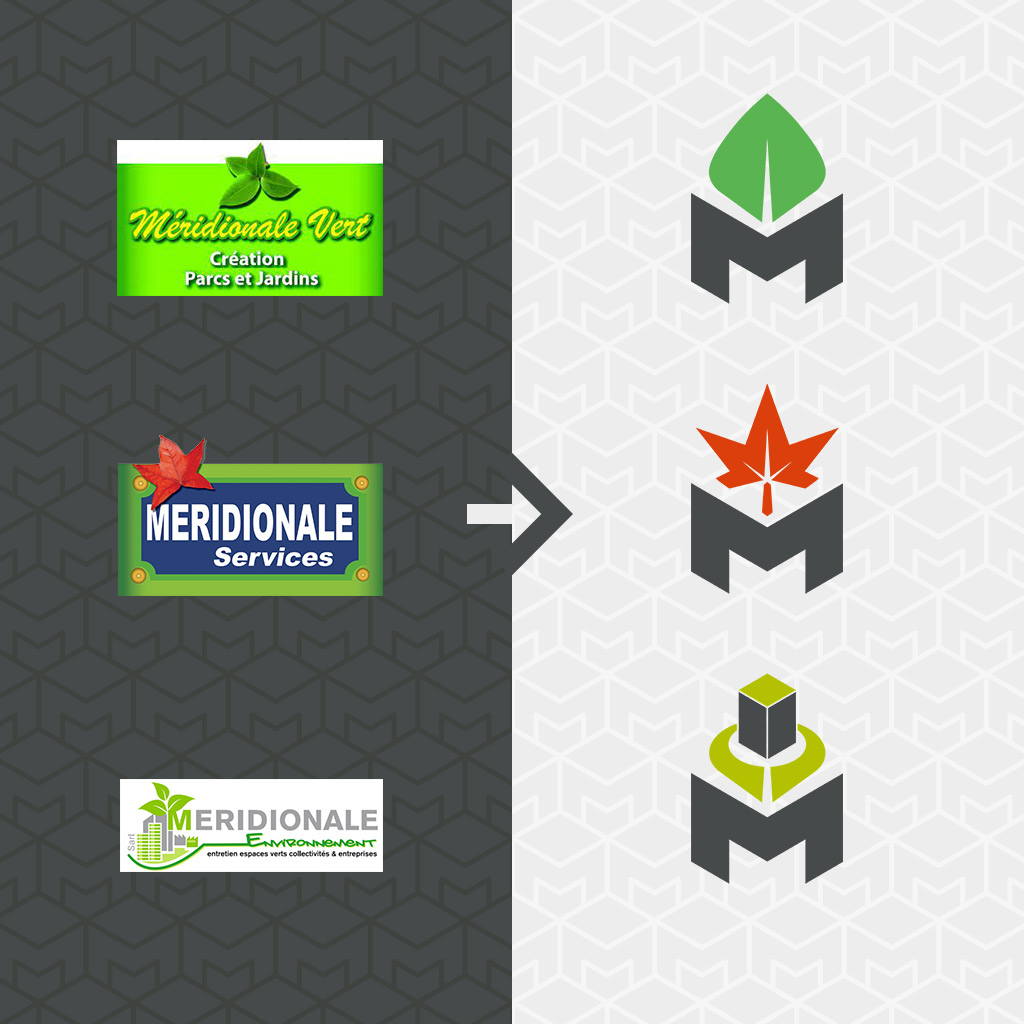 Les logotypes du groupe Meridionale avant et après refonte