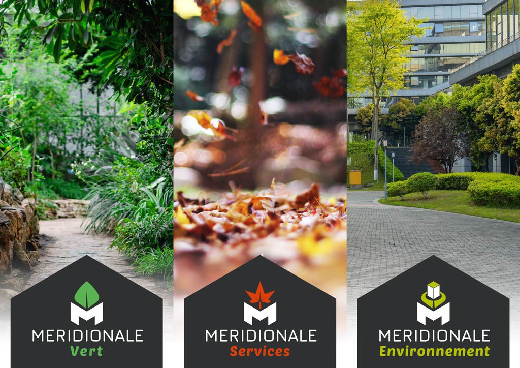 Un visuel photographique des trois entités du groupe Meridionale.